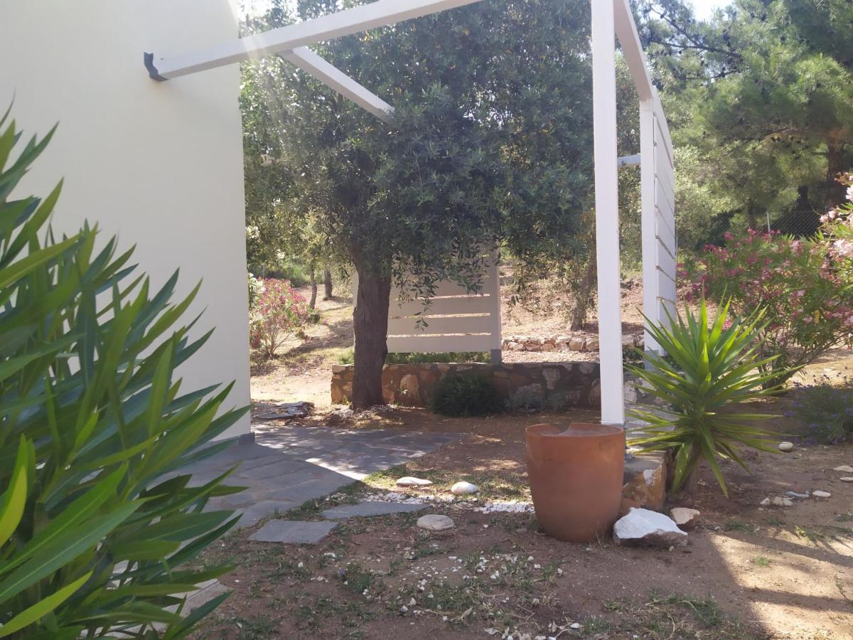 הוילה אסטריס Ambra מראה חיצוני תמונה